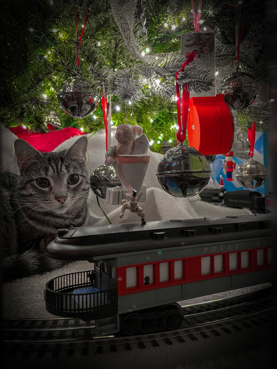 Christmas Kitty by Todd Kockelman