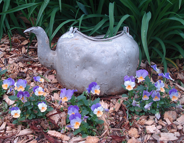 Pots and Posies by Margaret Hall