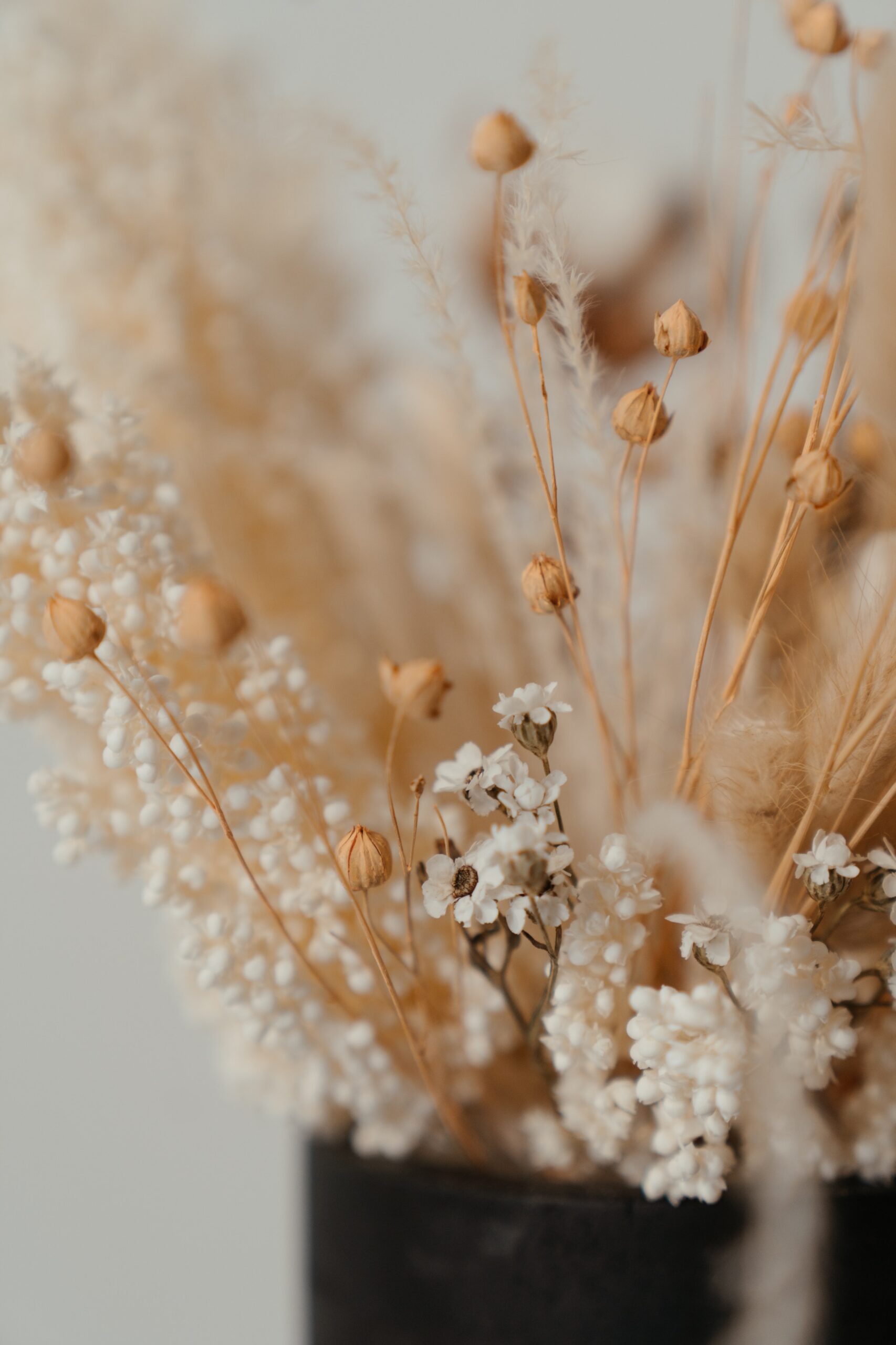 Bouquet of dried flowers.