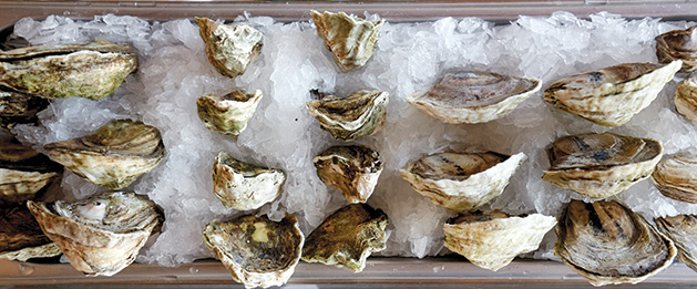 How to Eat Oysters, According to Manger Chef Mike Willenbring