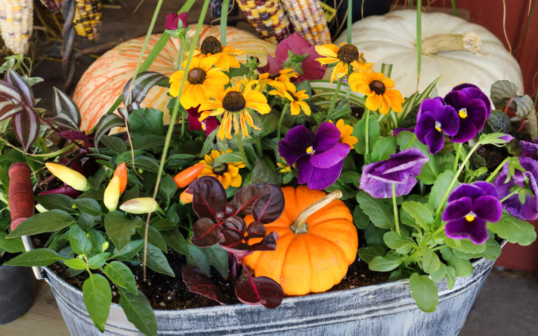Recipe for the Perfect Fall Planter