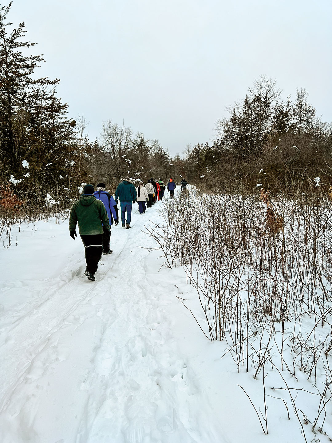 First Day Hikes Winter