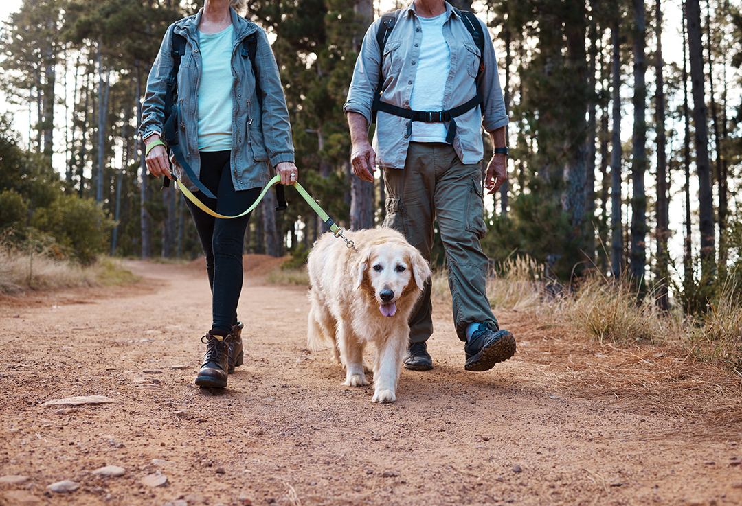 Shot of a mature couple and their dog out for a hike together