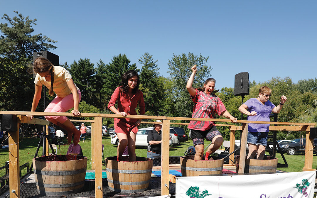 Saint Croix Vineyards Hosts Annual Grape Stomp