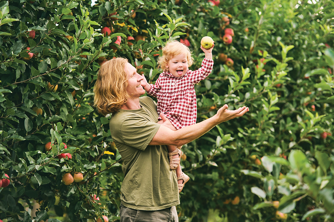 Outdoor portrait of handsome young father with cute toddler girl harvesting apples in fruit orchard, happy parenting