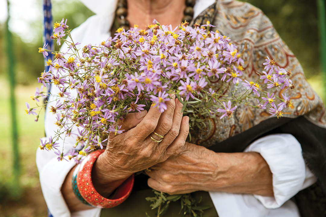 Senior female hands holding wildflower bouquet outdoors