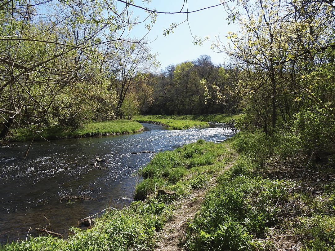 The Community Forest