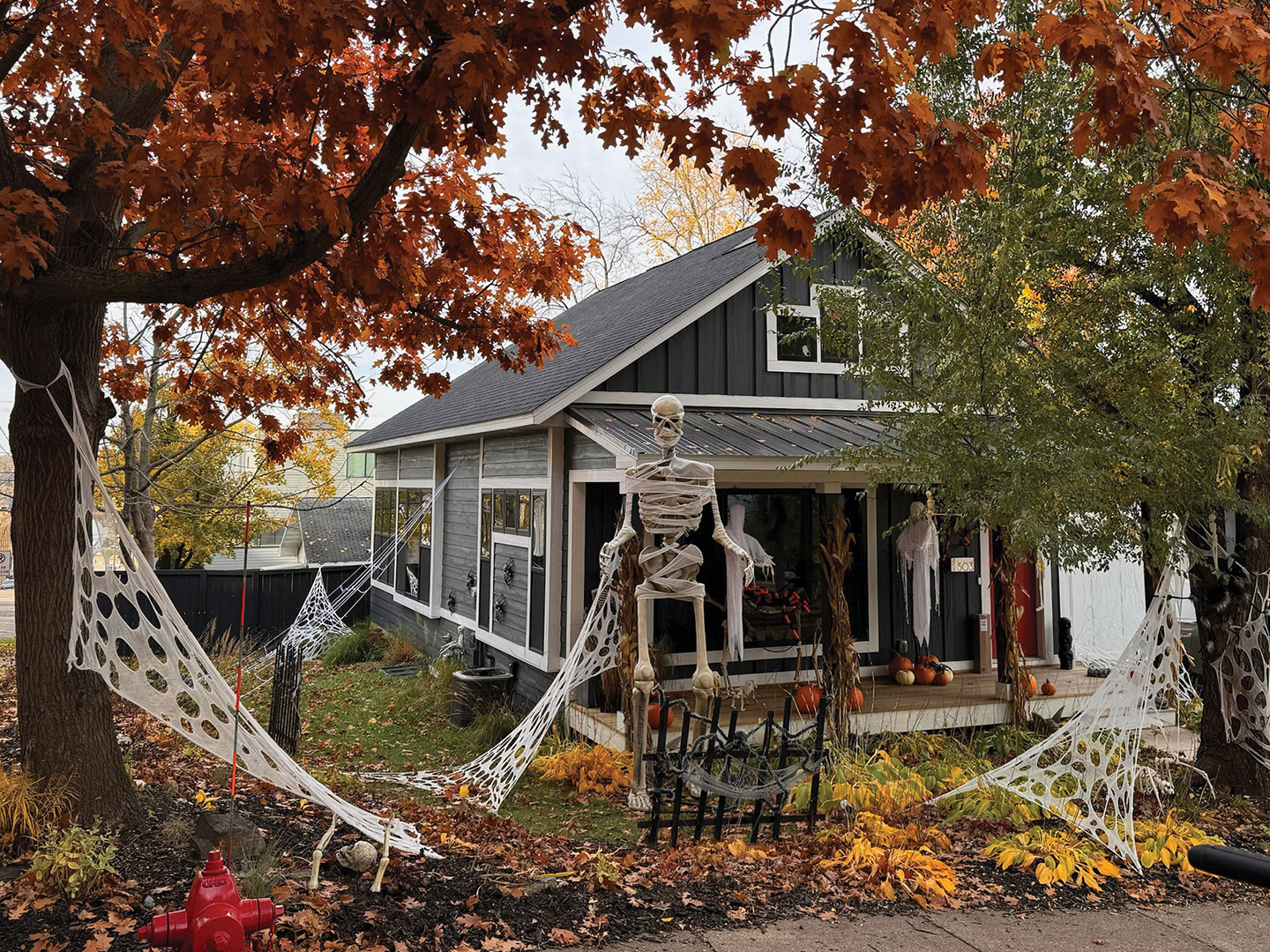 An estimated 50 homes on Third Street and the surrounding blocks light up each Halloween. Some families go all-out with themed decor and activities. “There’s a little something for everyone,” Kate Hall says.