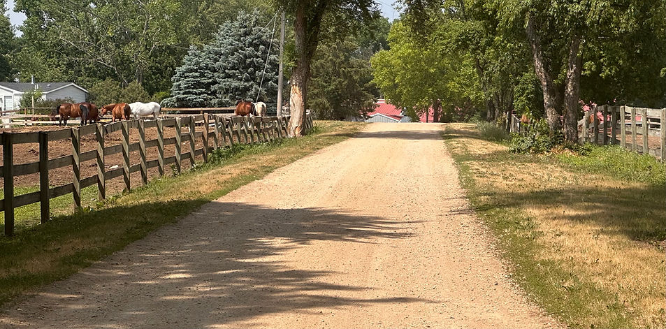 Serenity Farm and Stables