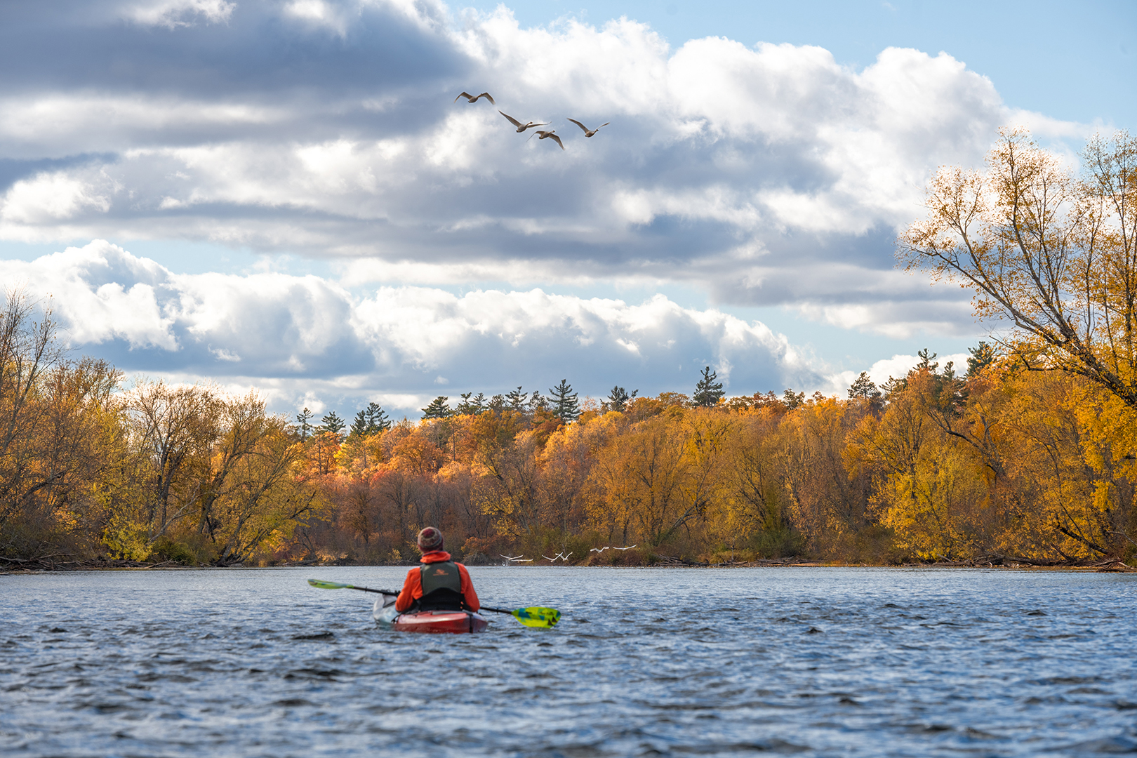 Wingbeats Over Water