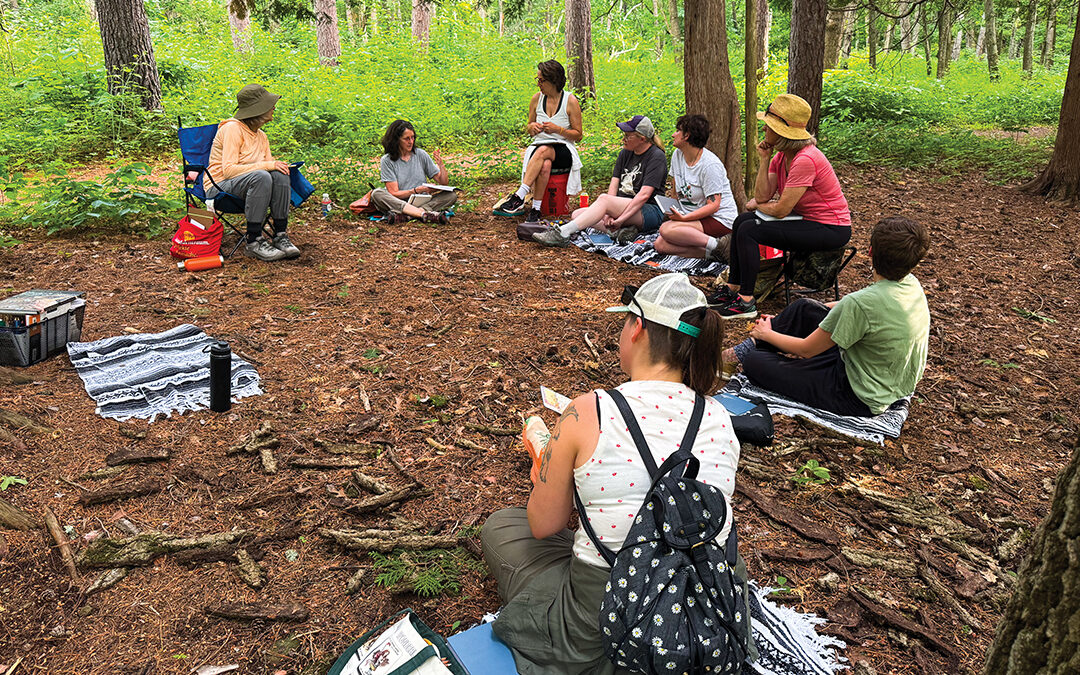 Treehaus Studio Blends Art and Ecology