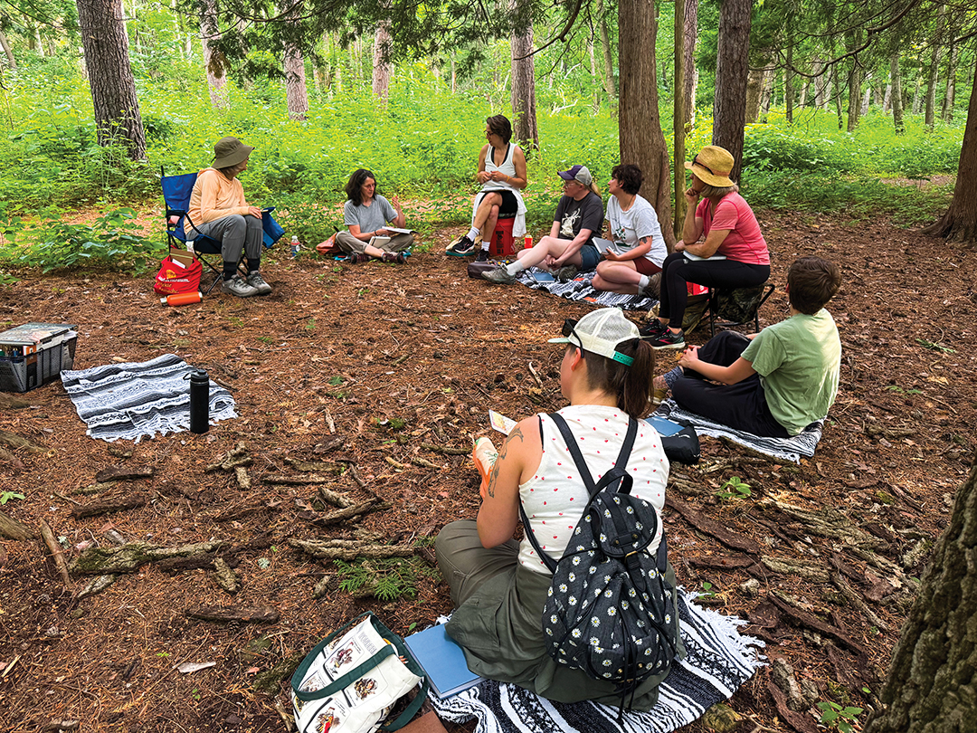 Field study at Treehaus Studio