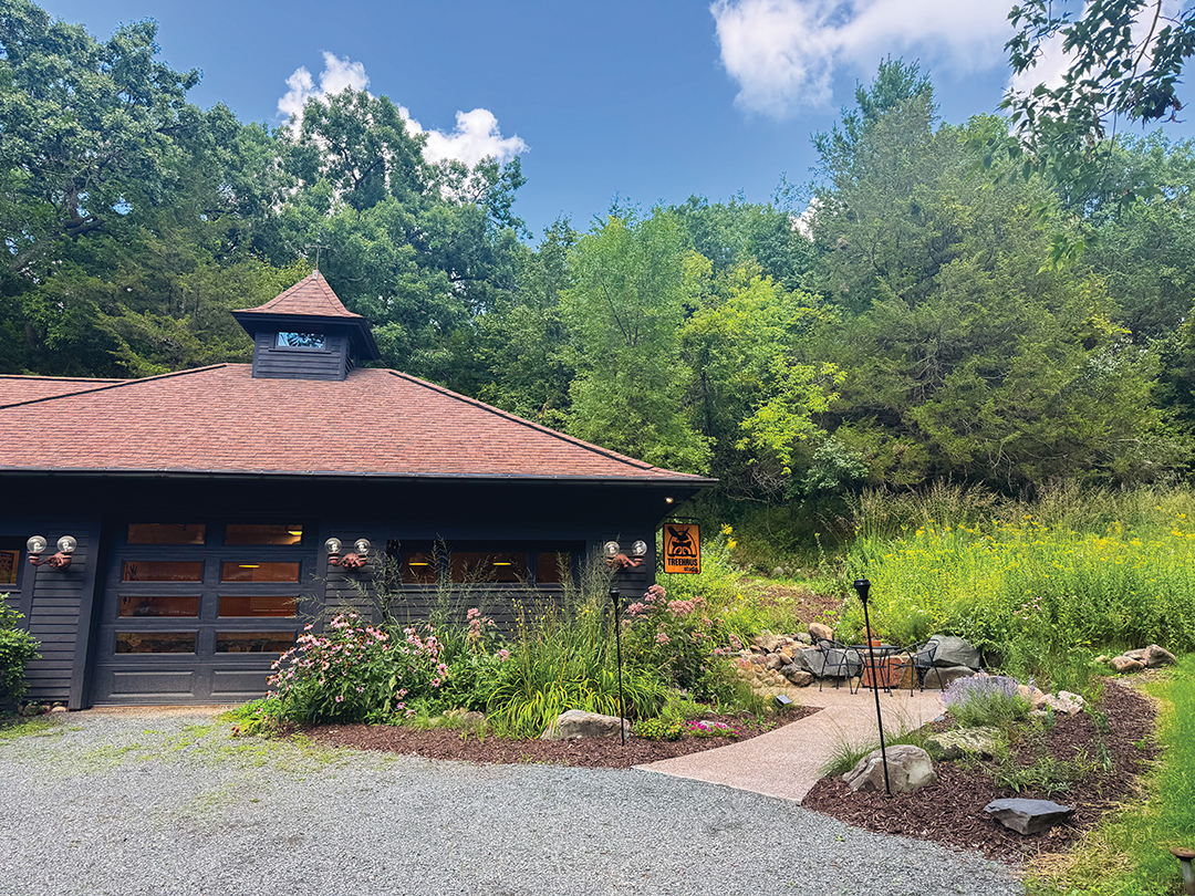 Treehaus Studio Exterior