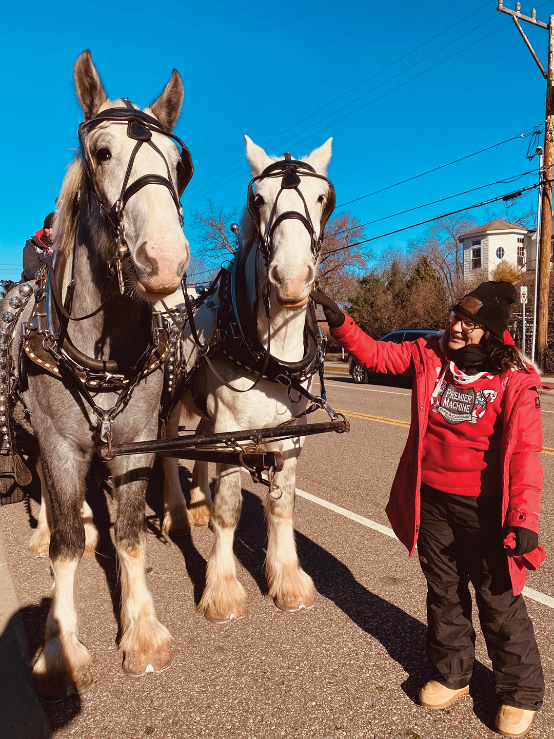 Horse carriage rides at Afton Village Holiday