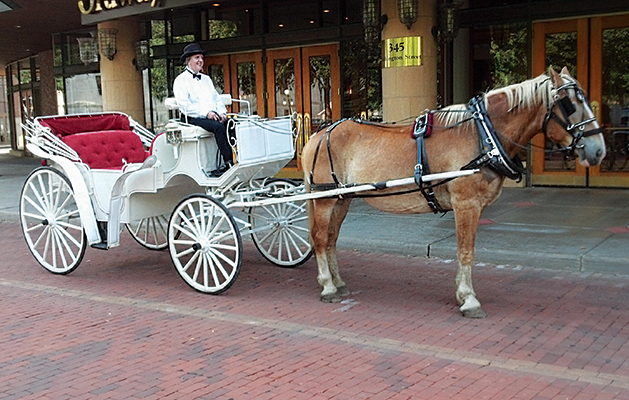 Carriage of Love: Consider a horse-drawn carriage ride in Stillwater this February 14.
