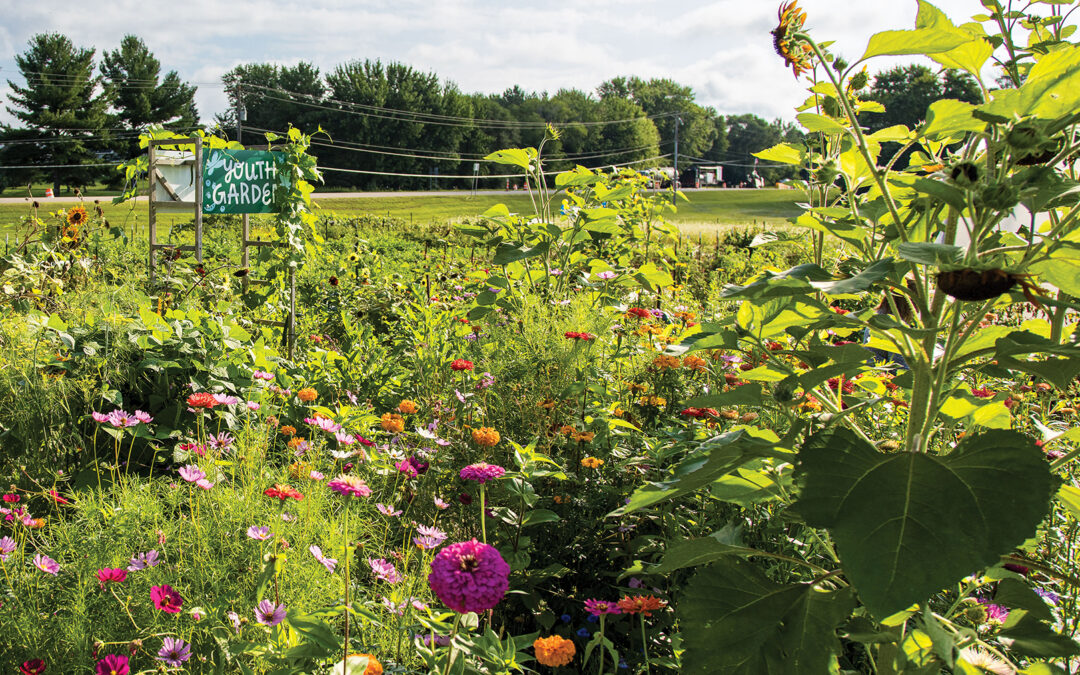 Cimarron Community Farm Cultivates Community