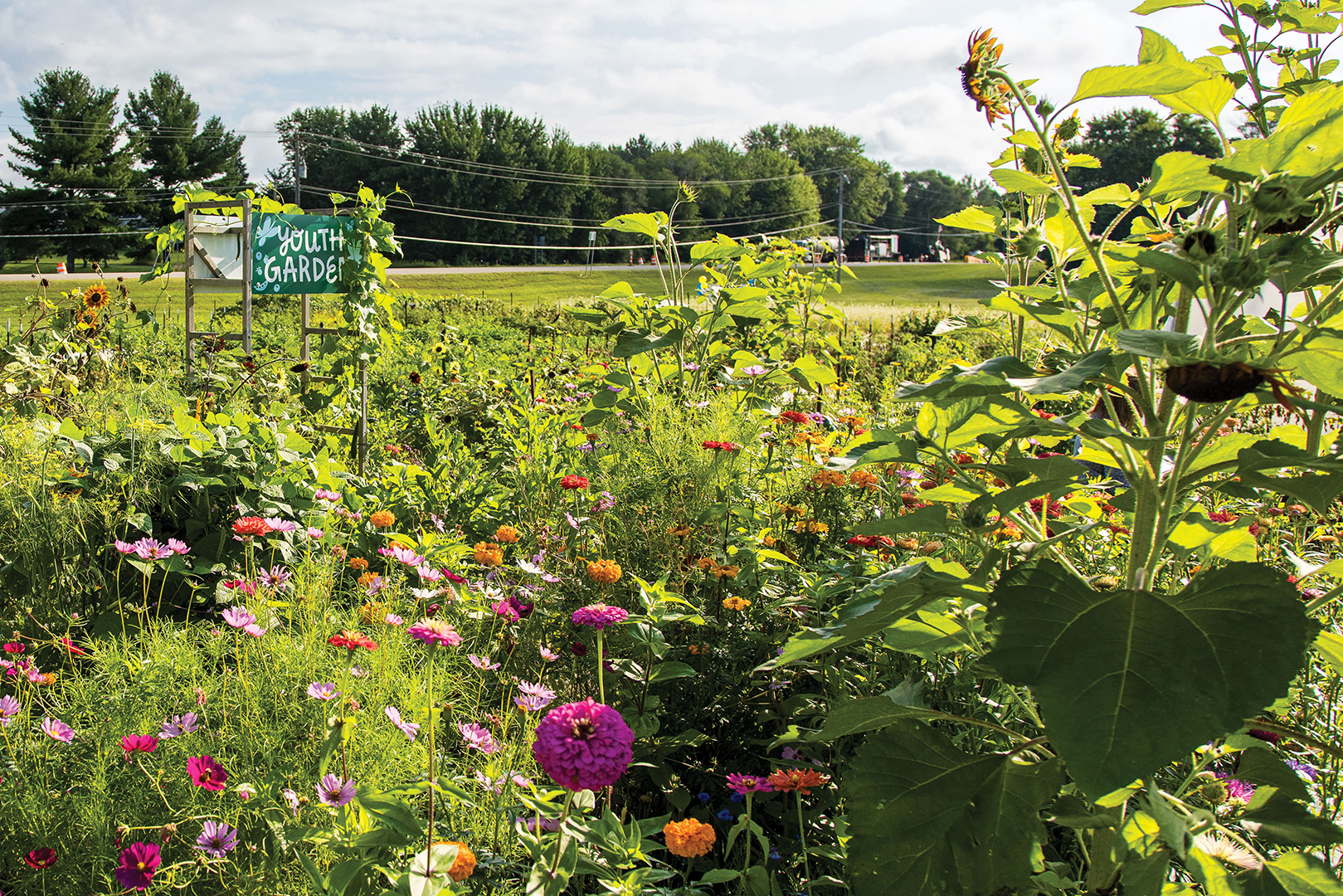 Cimarron Community Farm