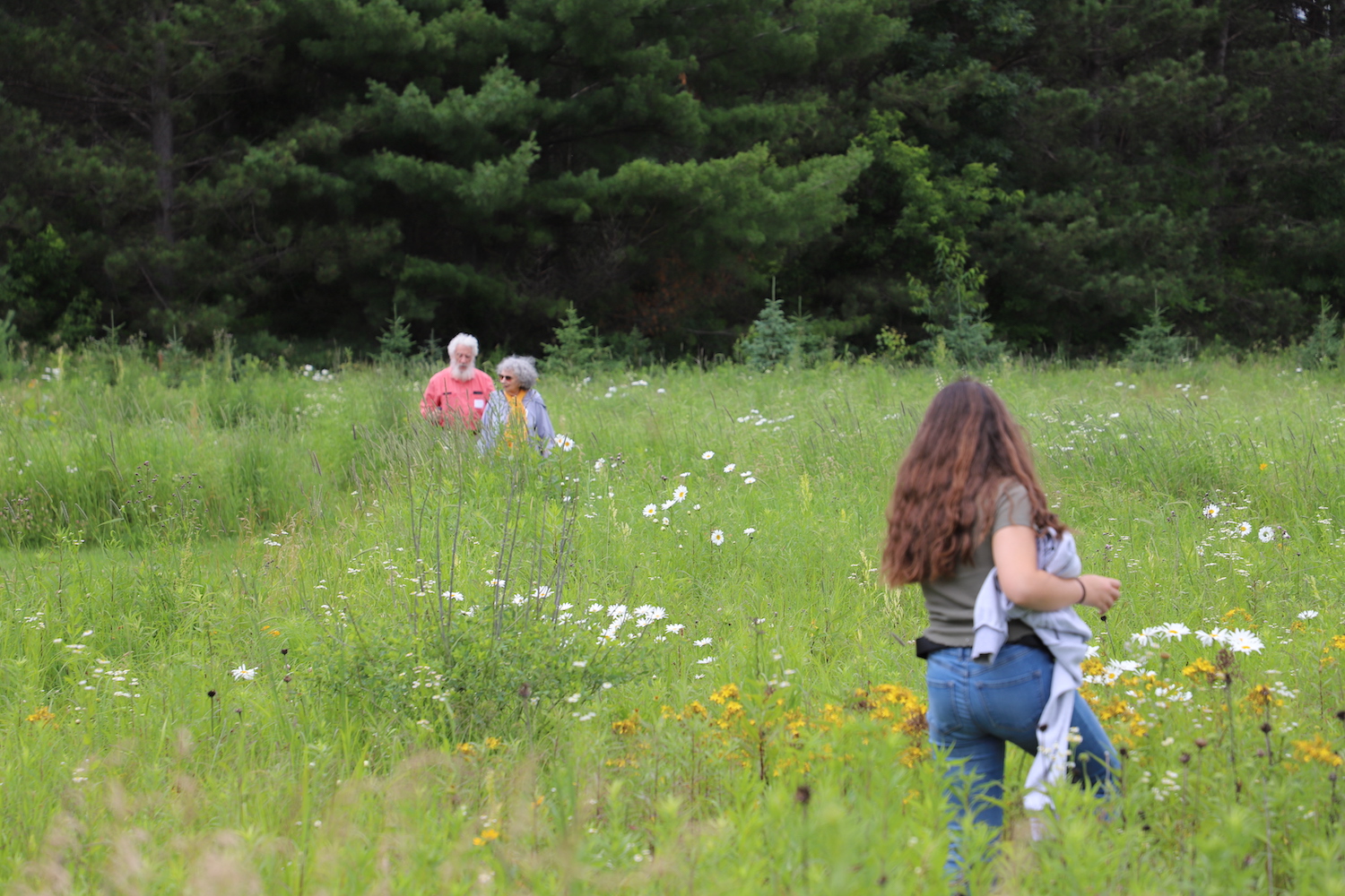 Sketch Outing Franconia Sculpture Park