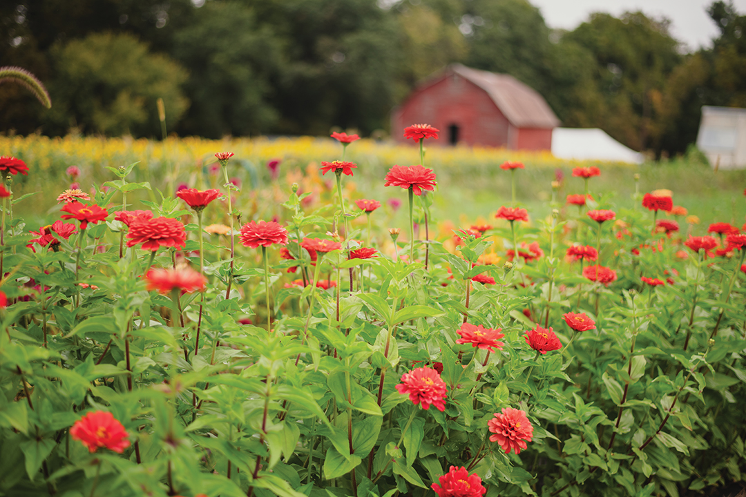 Philadelphia Community Farm