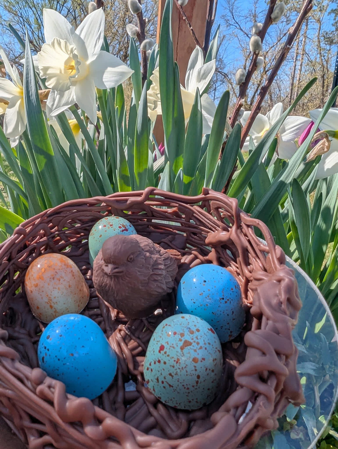 St. Croix Chocolate Company thinks outside the box with creative seasonal confections like this chocolate bird nest.