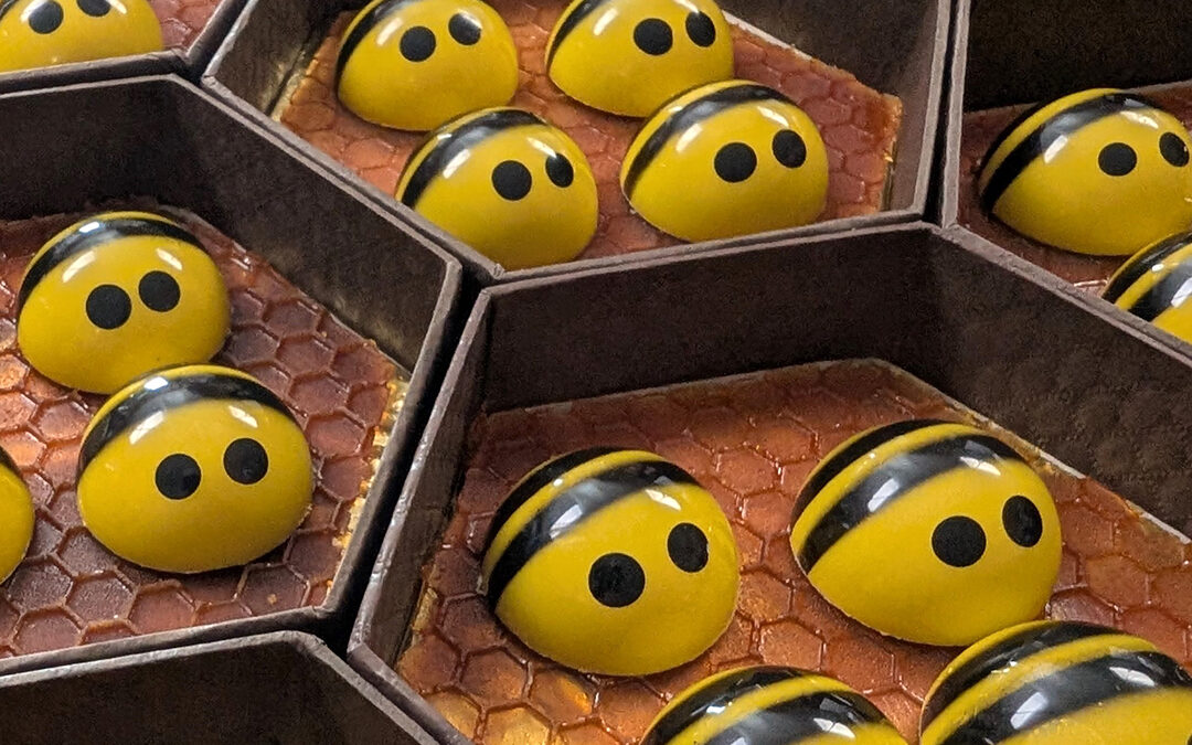 St. Croix Chocolate Company Receives International Acclaim