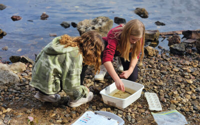 A Hands-on Approach To Outdoor Education