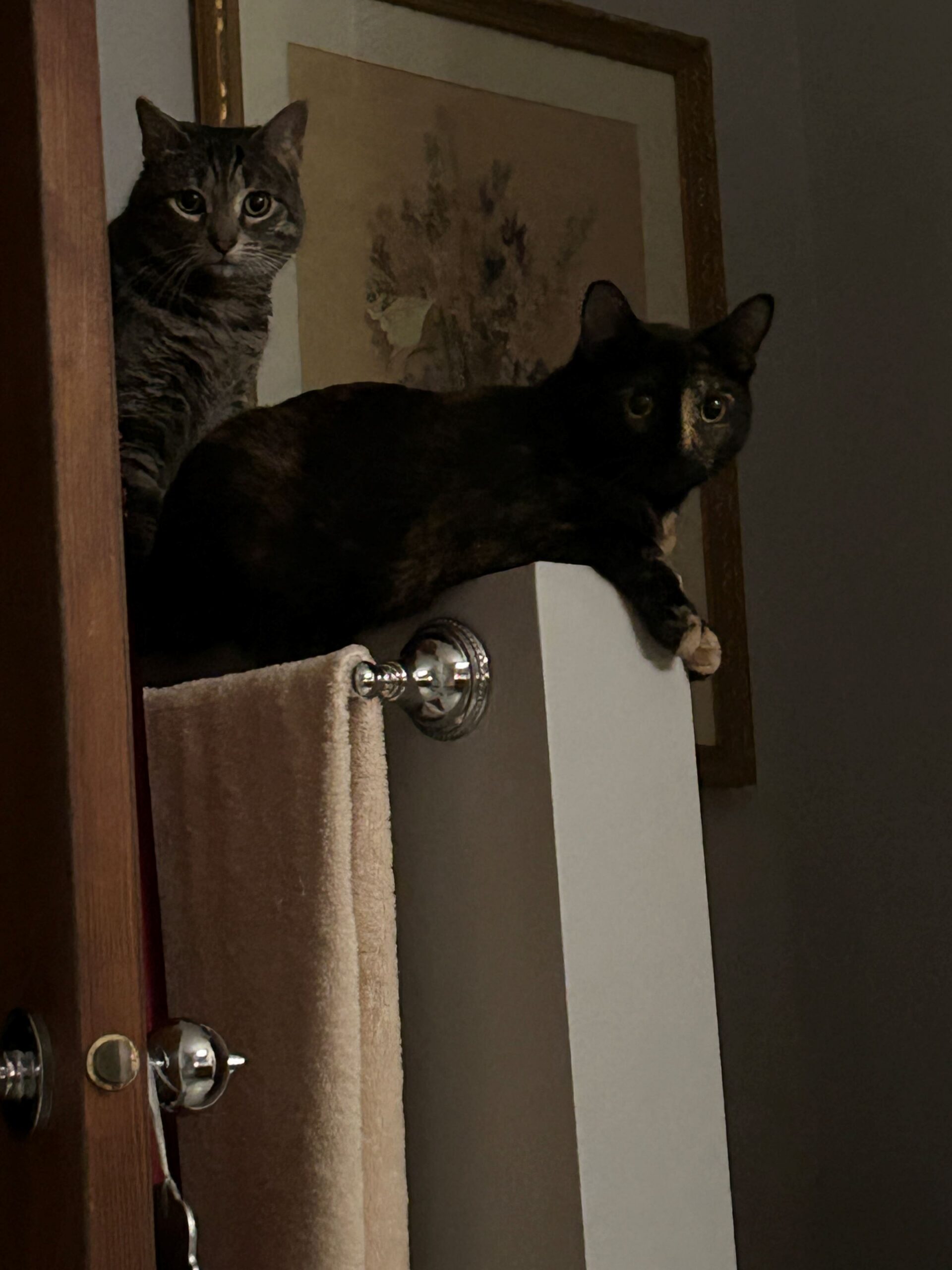 Keeping Watch
