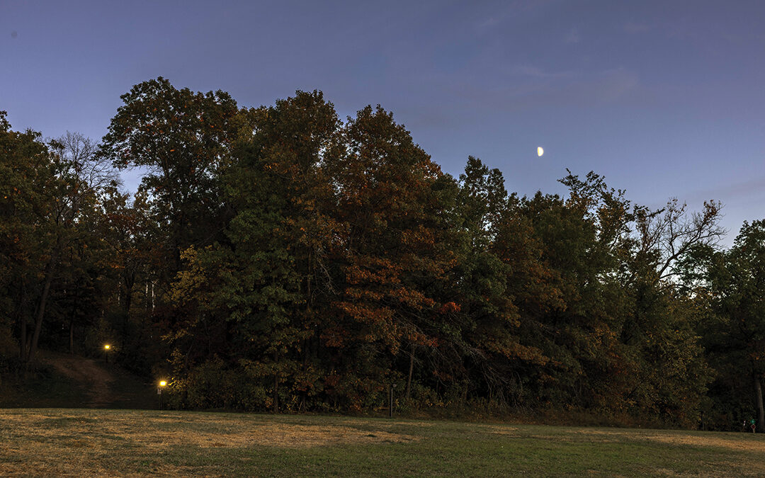 Lake Elmo Park Reserve Hosts a Full Moon Forest Bathing Walk